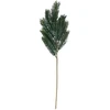 Home4You Dirbtinė šakelė GREENLAND H55cm eglė