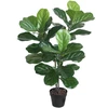Home4You Žalias augalas FIDDLE LEAF, aukštis 100 cm