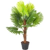 Home4You Žalias augalas FAN PALM H100cm