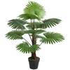 Home4You Žalias augalas FAN PALM H100cm
