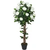 Home4You Žalias augalas ROSE TREE, aukštis 120 cm, 2 stiebai, juodas vazonas