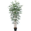 Home4You Žalias augalas BAMBOO, aukštis 150 cm