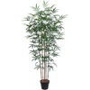 Home4You Žalias augalas BAMBOO, aukštis 150 cm