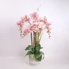 Home4You Dirbtinių gėlių puokštė Orchid Garden Queen 68 cm šviesiai rožinė