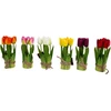 Home4You Dirbtinė gėlė FLOWERLY 5vnt/komplektas, tulpės