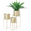 Home4You Gėlių stovas DEIA GOLD L 24,5×23,5xH57cm, aukso spalvos