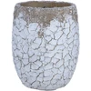 Home4You Gėlių vazonas „SUNNY DESERT“, D24 x H29 cm, baltas
