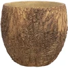 Home4You Gėlių vazonas „SUNNY OAK“, D37xH32 cm, rudas