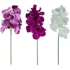 Home4You Orchidėja ŽIEDAS H60cm, mišinys