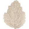 Fotelis Home4You Kilimėlis BIG LEAF 36x45cm, auksinis