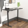 Home4You Rašomasis stalas ERGO OPTIMAL su 1 varikliu, 120x60 cm, Spalva: juoda