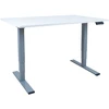 Home4You Rašomasis stalas ERGO OPTIMAL su 2 varikliais 140x80 cm, Spalva: pilkšvai balta