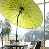 Home4You Skėtis nuo saulės SHANGHAI D2,13m, žalias