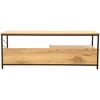 Home4You TV staliukas DIMITRA 120x40xH45cm Rustic/Juodas