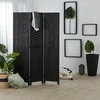 Homestyle4U Kambario pertvara, 120x2.2x170 cm, juoda