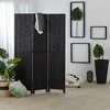Homestyle4U Kambario pertvara, 120x2.2x170 cm, juoda