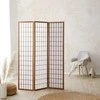 Homestyle4U Kambario pertvara, Shoji 3 dalių sulankstoma, 132x2.2x175 cm, ruda