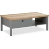 Homestyle4U Kavos staliukas, 110x40,5x60 cm, pilka