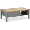 Homestyle4U Kavos staliukas, 110x40,5x60 cm, pilka