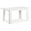 Homestyle4U Valgomasis stalas, 120x80x75 cm, balta