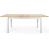 Homestyle4U Valgomasis stalas, 160x90x75 cm, balta