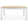 Homestyle4U Valgomasis stalas, 160x90x75 cm, balta