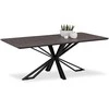 Homestyle4U Valgomojo stalas, 200x100x76 cm, rudas, juodas
