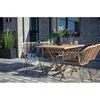 House Fotelis, Triestė, Juodos kojos, Natūrali