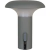 House Led, Ramsey, pilka / matt