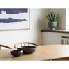 House Nordic Agavos augalas