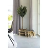 House Nordic Pledas, Sintra, juoda / balta / ruda