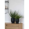 House Nordic Dirbtinė augalija, Žolė, A: 45 cm, Žalia