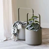House Nordic Dirbtinis augalas 33 cm žalias, plastikas