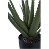 House Nordic Dirbtinis augalas, Aloe Vera, A: 51 cm, Žalias