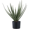 House Nordic Dirbtinis augalas, Aloe Vera, A: 51 cm, Žalias