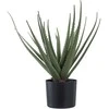 House Nordic Dirbtinis augalas, Aloe Vera, A: 51 cm, Žalias
