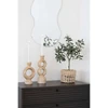 House Nordic Dirbtinis augalas, Alyvmedis, A:61 cm, Žalias.