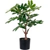 House Nordic Dirbtinis augalas, Figmedis, A:60 cm, Žalias