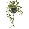 House Nordic Dirbtinis augalas, Hoya Carnosa, 33 cm, Žalias