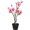 House Nordic Dirbtinis augalas, Magnolijos medis, A:74 cm, Rosa