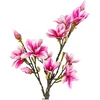 House Nordic Dirbtinis augalas, Magnolijos medis, A:74 cm, Rosa