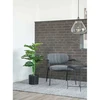 House Nordic Augalas, Monstera, žalia spalvos