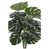 House Nordic Augalas, Monstera, žalia spalvos
