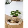 House Nordic Dirbtinis augalas, Pelia, A: 28 cm, Žalias