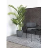 House Nordic Dirbtinis palmės medis, Areka, Aukštis: 175 cm, Žalias