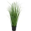 House Nordic Dirbtinis žolės kilimas, Poa, A: 68 cm, Žalia