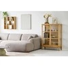 House Nordic Poilsio sofa Clyde 109-177x300x75 cm pilka