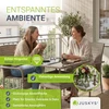 Juskys Sodo stalas Yoro 80x80 cm pilkas