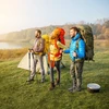 Juskys Trekking lazdų rinkinys, 2 vnt., reguliuojamas 65-135 cm, juodos spalvos