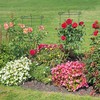 Kodustaar 6 augalų atramų žiedų rinkinys